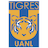Tigres UANL